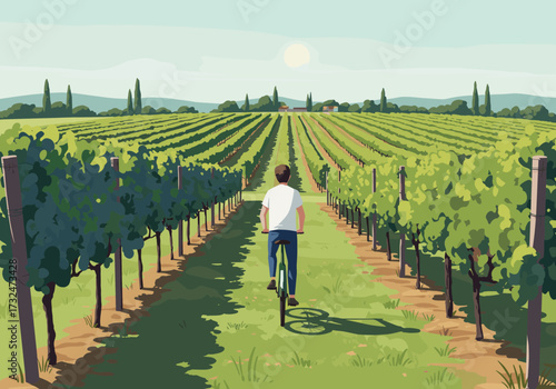 Cycling through a serene vineyard napa valley digital sunny day aerial perspective tranquil experience