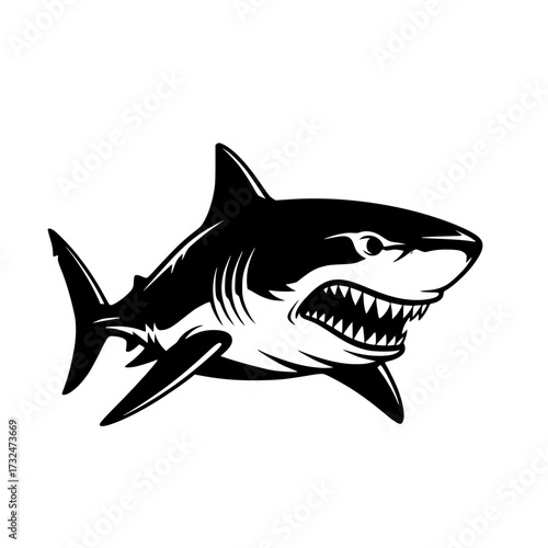 Vector art of fierce great white shark with open mouth and sharp teeth