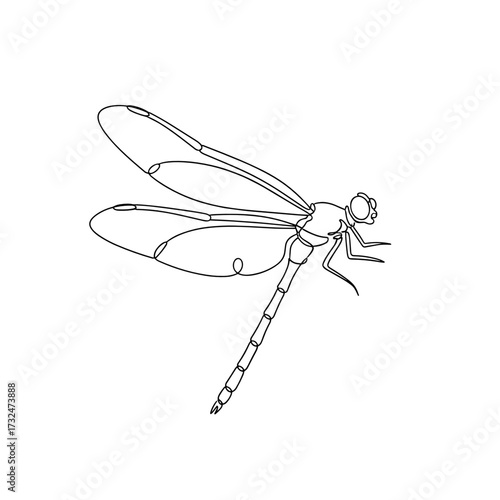 Iridescent dragonfly perched on reed at dawn, macro nature photo for outdoors editorial.