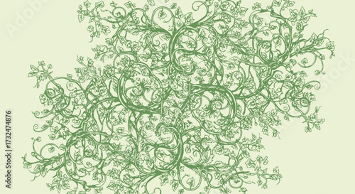 Green vine design with swirling tendrils and leaves on a light background
