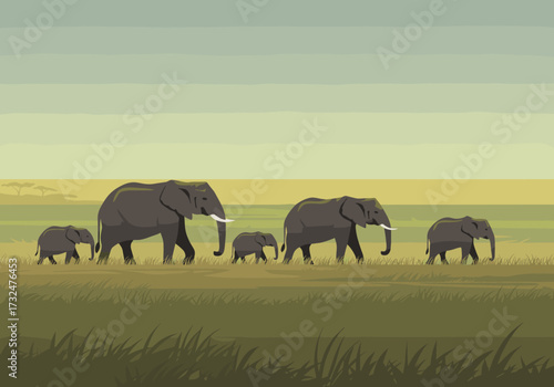 Family of elephants walking across the savannah in nature scenic landscape serene environment wide view