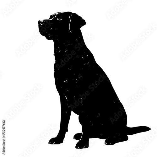 Vector art of black silhouette of a sitting dog with pointed ears and alert posture