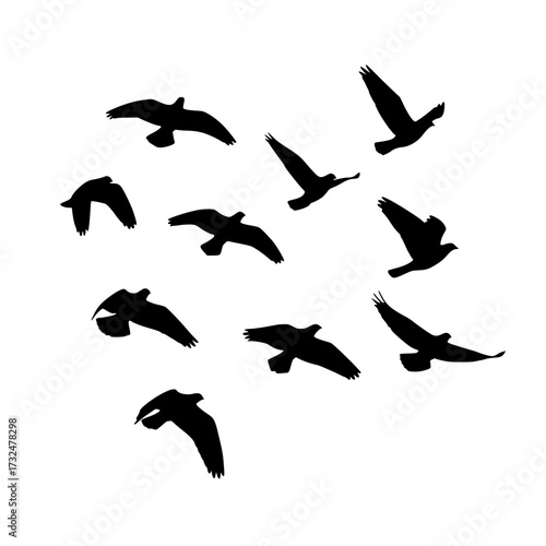 Vector art of flock of black birds in flight silhouetted against white sky