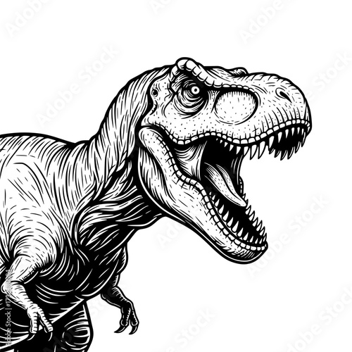Vector art of fierce trex illustration with open mouth roaring