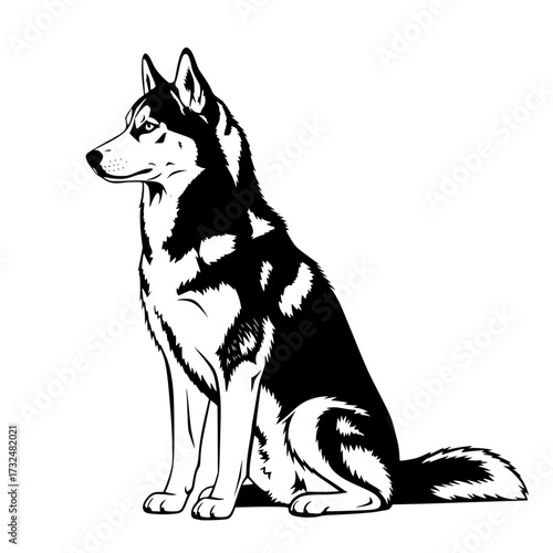 Vector art of black and white illustration of a siberian husky sitting