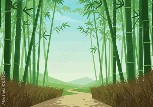 Exploring tranquil bamboo forest path nature landscape serene environment peaceful viewpoint