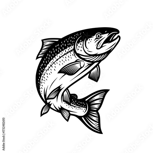 Vector art of leaping trout fish illustration with detailed scales and fins