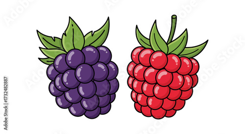 Vibrant duo of cartoon berries: a luscious blackberry and a ripe raspberry delight