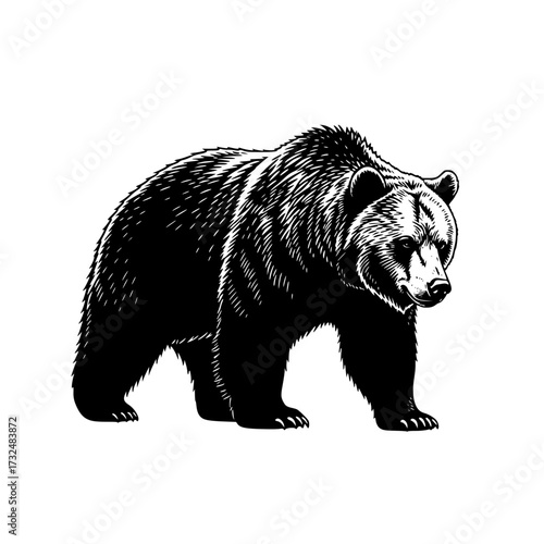 Vector art of black and white illustration of a bear walking