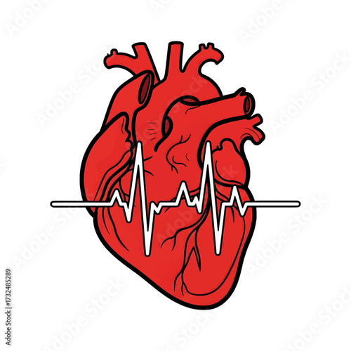 Human Heart Anatomy with EKG Line Illustrating Health and Medicine.