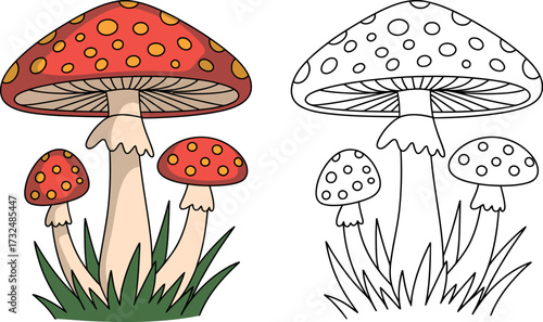 Mushroom coloring page printable for kids and adults fly agaric amanita muscaria drawing