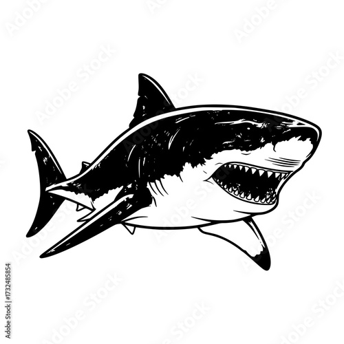 Vector art of black and white illustration of a great white shark with open mouth