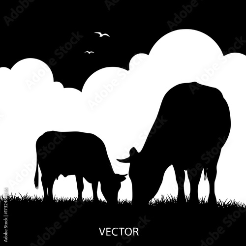 Vector art of silhouette of cow and calf grazing in field with birds flying