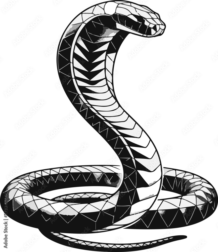 Fototapeta premium vector illustration of a snake