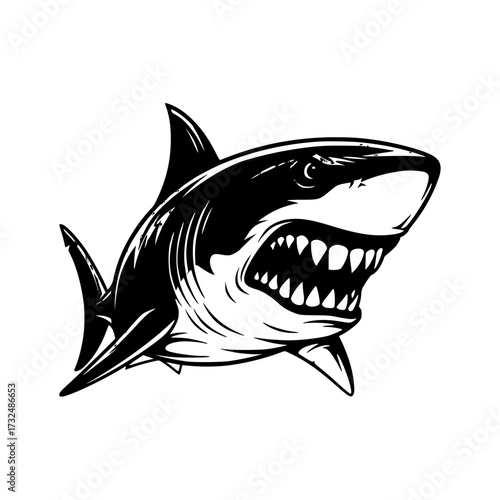 Vector art of fierce great white shark with open mouth and sharp teeth