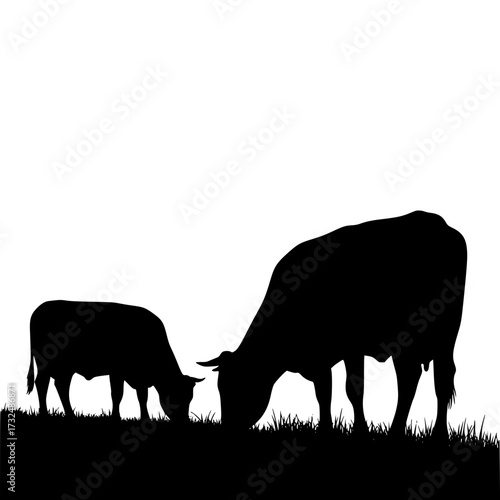 Vector art of silhouette of adult cow and calf grazing together in pasture at sunset with peaceful atmosphere