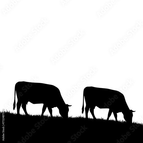 Vector art of two cows grazing peacefully in silhouette against sunset
