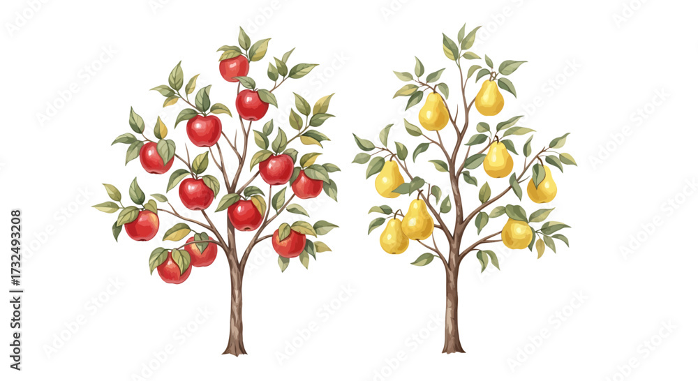 Fototapeta premium Two fruit trees with juicy apples and pears.