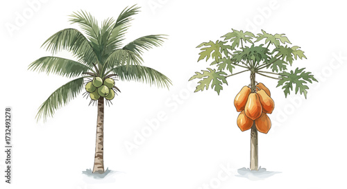 A vibrant illustration depicting a coconut tree and a papaya tree.