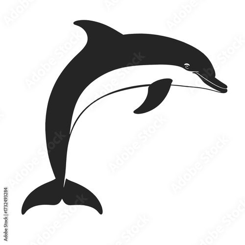 Dolphin silhouette leaping gracefully through the ocean waves.