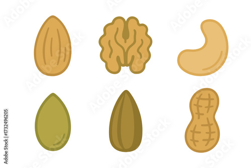 Nutritious collection of various healthy nuts and seeds featuring almond walnut cashew peanut pumpkin and sunflower