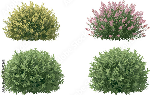 Bush illustration set, cartoon garden foliage, floral shrub icons, landscaping clipart pack, nature plant graphics, vector hedge elements, outdoor design assets