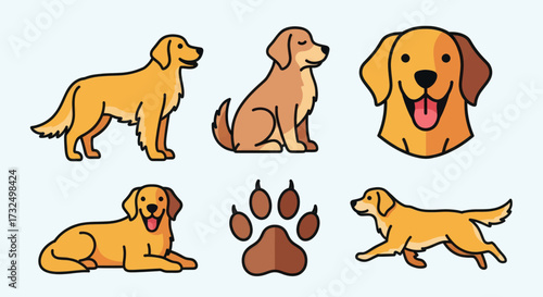Collection of cute golden retriever dog illustrations and paw print
