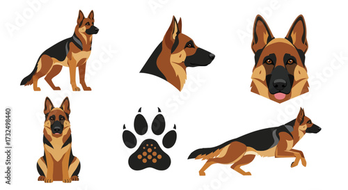 Collection of German Shepherd dog illustrations showcasing different poses and details