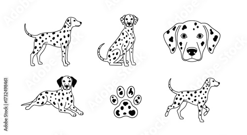 Charming Dalmatian dog illustrations in various poses and a paw print icon