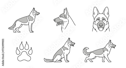Collection of minimalist line art illustrations depicting a German Shepherd dog in various poses and close-ups.