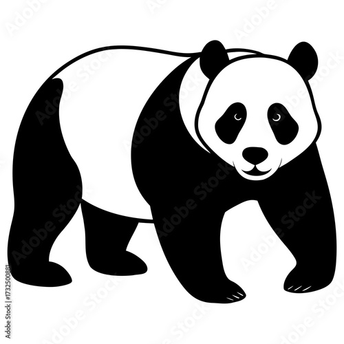 panda