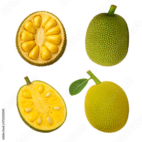 jackfruit, collection, isolated object, edit asset, stock image, 4k