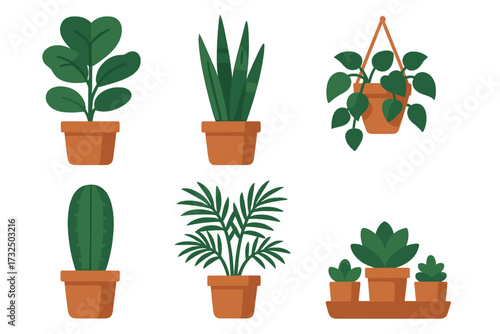 Stylized collection of various green potted houseplants and succulents for modern interior decoration and home styling