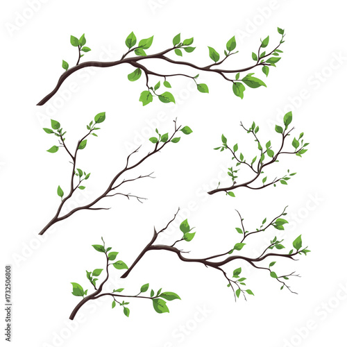 Wallpaper Mural Illustration of Branches with Fresh Green Leaves An Assortment of Branches Embellished with Vibrant Green Leaves Isolated Against a Pure White Backdrop Depicting Springtime or Decorative Elements Torontodigital.ca