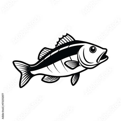 Bass Fish Illustration On White Background