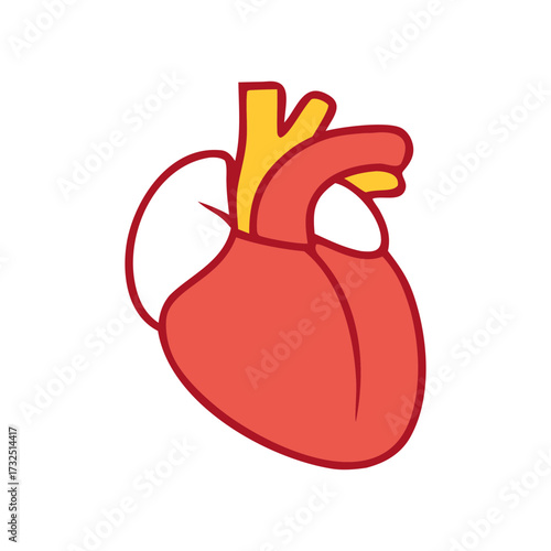Stylized illustration of a human heart with red chambers and yellow arteries against a black background