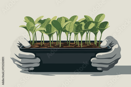 A pair of hands gently cradle a tray filled with numerous vibrant seedlings, demonstrating the beauty and strength of growth in a nurturing and supportive environment.