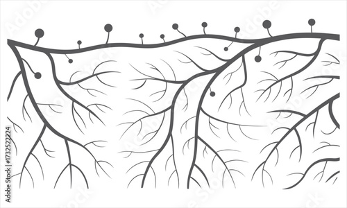 Abstract Network of Roots and Nodes Illustration Background for Plant Science