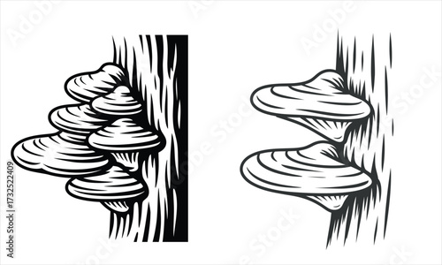 Woodcut style illustration of bracket fungi on a tree trunk art