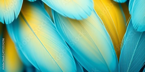 Light blue and gold tropical bird feathers macro Minimal abstract texture background with copy space, backdrop, shine