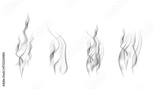 Realistic steam or smoke on hot tea, coffee, food. PNG Stock royalty free. transparent background Vector set