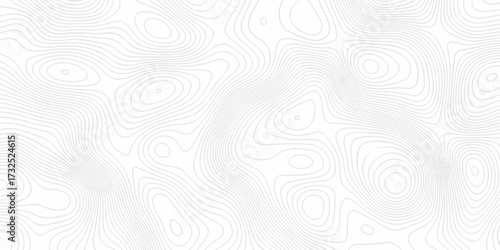 Abstract minimal The pattern discovery vector topo map creative discovery White wave grid stripe line map topography. vector geographic contour mounted map background.	
