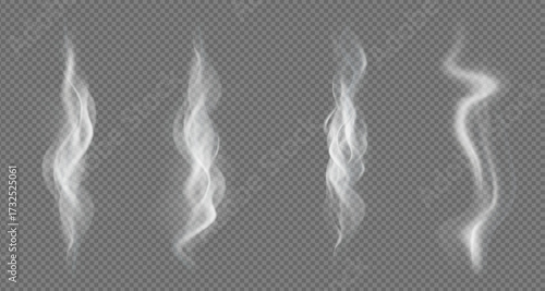 Realistic steam or smoke on hot tea, coffee, food. PNG Stock royalty free. transparent background Vector set