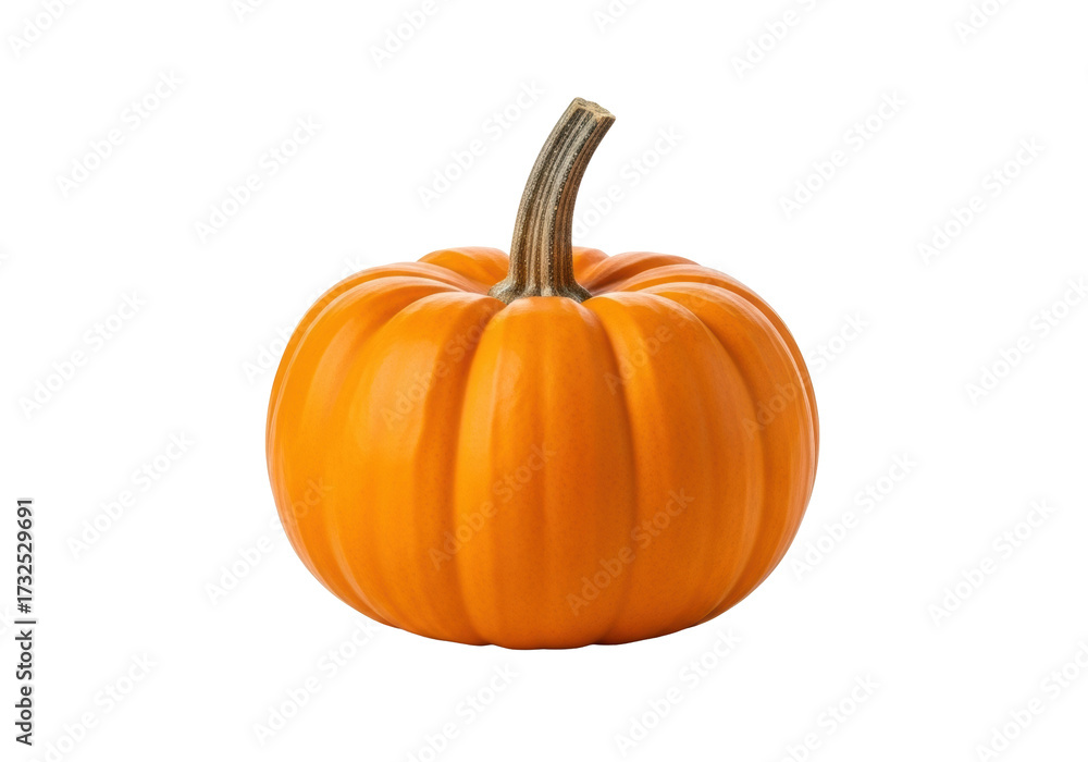 Obraz premium Vibrant orange miniature pumpkin, short brown stem, upright on transparent background with subtle reflection, ample copy space, soft studio lighting. Autumn harvest and Halloween decoration concept