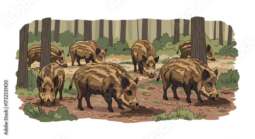 A sounder of wild boars foraging for food on the forest floor in a detailed hand-drawn vector illustration, isolated on transparent background.