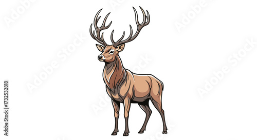Majestic male red deer standing proudly with large antlers, an elegant wildlife animal vector illustration isolated on transparent background.