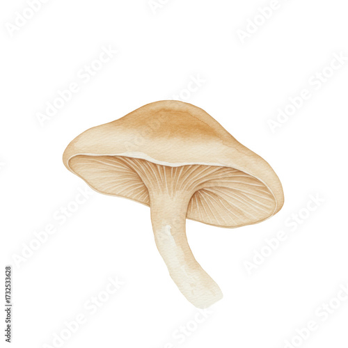 Watercolor mushroom with visible gills and smooth cap, angled view isolated on white background