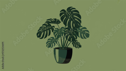 Dark Green Monstera Plant in a Pot on a Light Green Background potted plant houseplant