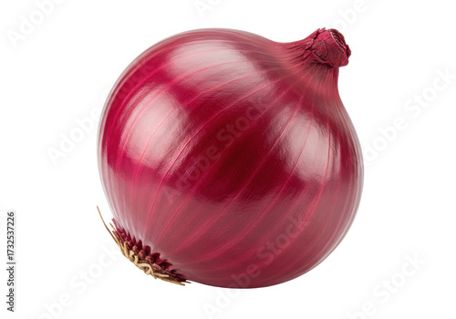 Fresh red onion isolated on transparent background, whole bulb with dry outer layers for cooking and healthy eating