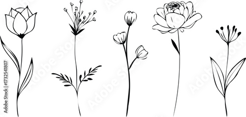 Elegant floral line art collection delicate botanical illustrations for wedding invitations greeting cards and minimalist designs